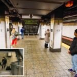 Perv with spy glasses records under NYC subway rider’s skirt, but undercover cops catch him in the act: police