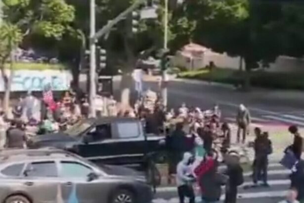Pickup Truck Delivers Bionic Face Shields, Other Supplies to LA Rioters (Video) |