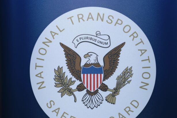 Pilot who died in a crash tried to avoid a turtle on runway : NPR