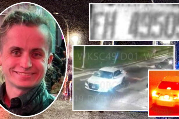 Police identify vehicle that struck and killed pedestrian in Lakeview