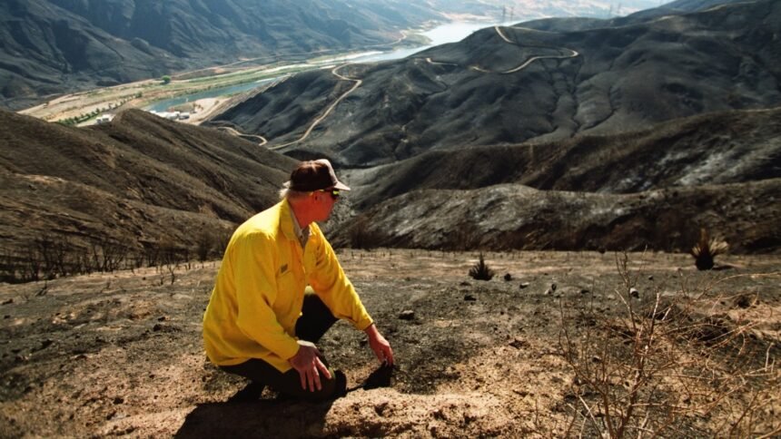 Pollution from wildfires can contaminate our water for up to 8 years