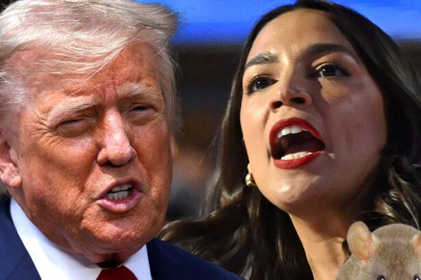 President Trump Dubs AOC a Rodent During Brutal Exchange on Social Media