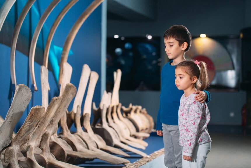 Prime Mammals and the Limit of Limits