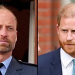 Prince Harry and William Are Separated by ‘More Than an Ocean’: Sources