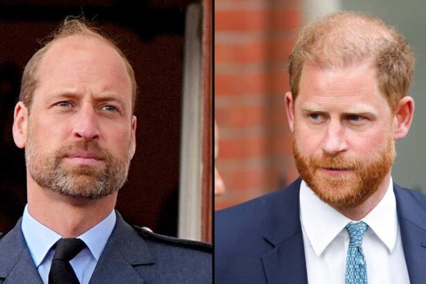 Prince Harry and William Are Separated by ‘More Than an Ocean’: Sources