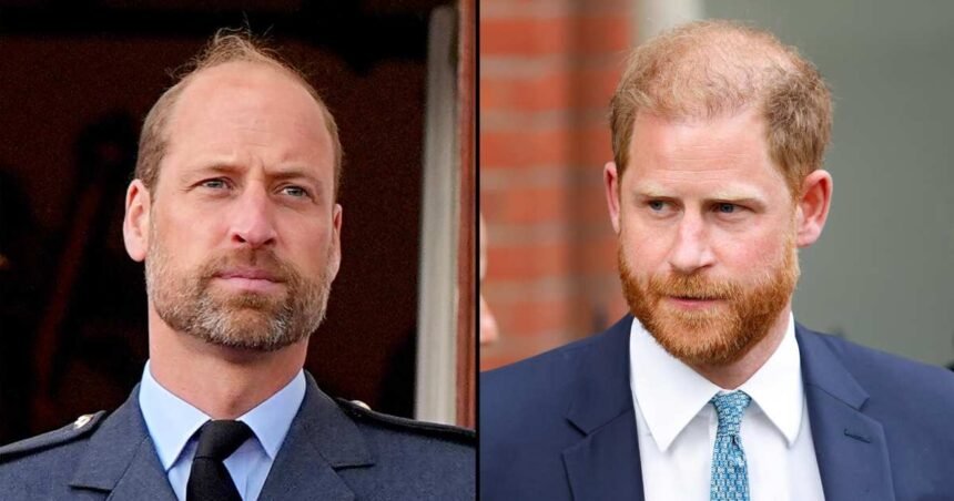 Prince Harry and William Are Separated by ‘More Than an Ocean’: Sources