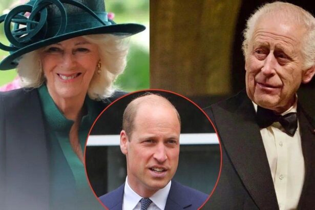 Prince William Battling To Stop Queen Camilla’s Drinking