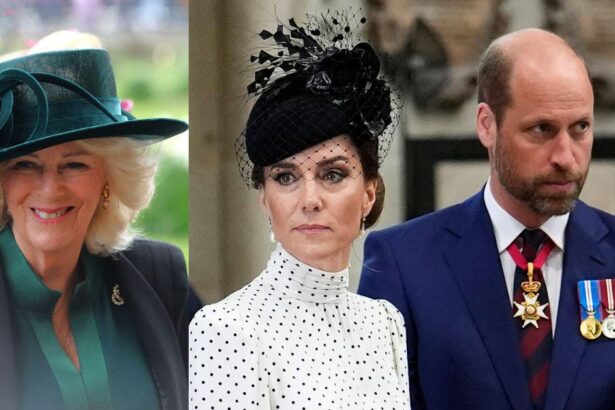 Prince William Coronation Secrets Revealed