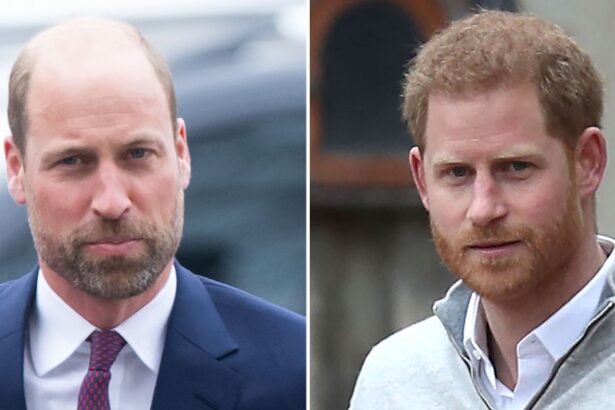 Prince William Hints at Harry Feud During Army Visit