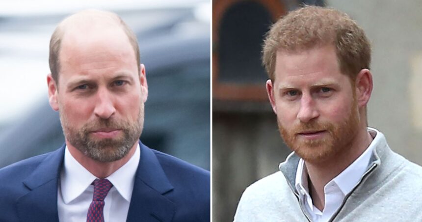 Prince William Hints at Harry Feud During Army Visit