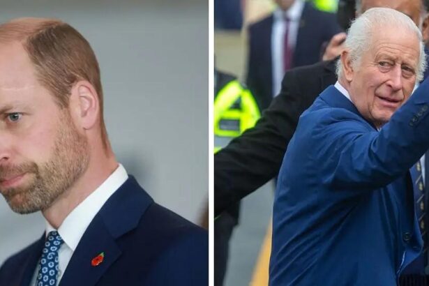 Prince William’s ‘Succession Secret Weapons’ Revealed