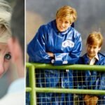 Princess Diana’s Greatest Pain Over Sons Revealed