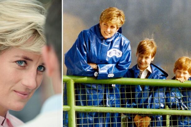 Princess Diana’s Greatest Pain Over Sons Revealed