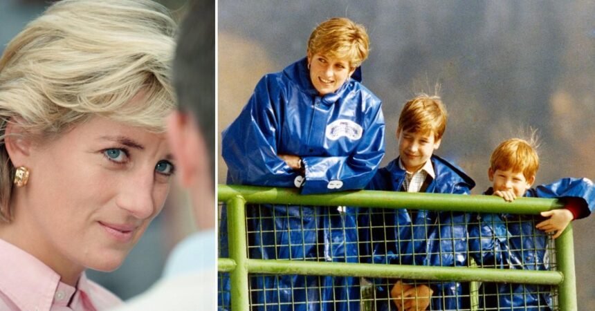 Princess Diana’s Greatest Pain Over Sons Revealed