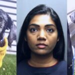 Probation for doctor who nearly starved dog to death: “Justice was not served”