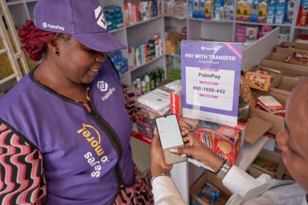 Profitable African fintech PalmPay is in talks to raise as much as 0M