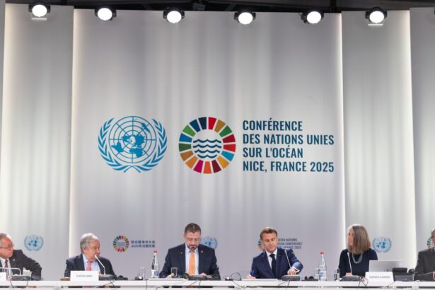 Progress and frustration mark the UN’s third Ocean Conference