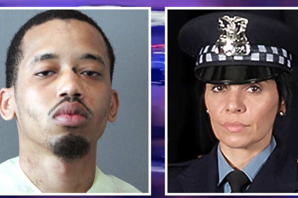 Prosecutors reveal new details of unintentional shooting death of Chicago police officer