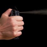 Public helps cop subdue Dunedin woman after wild driving