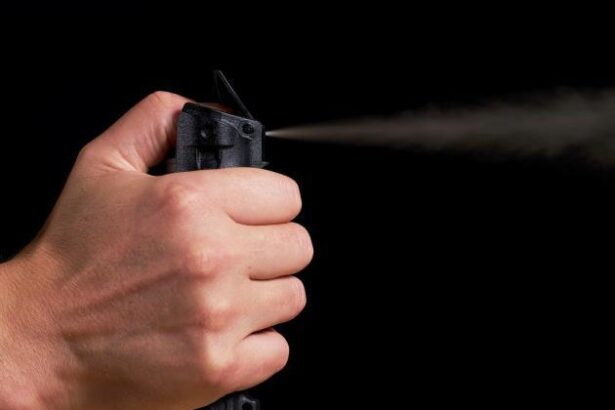 Public helps cop subdue Dunedin woman after wild driving