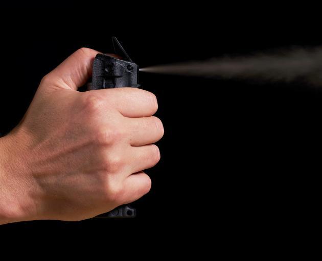 Public helps cop subdue Dunedin woman after wild driving