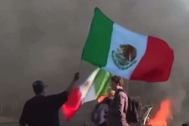 REPORT: LA Rioters Now Distributing American Flags After Realizing the Horrible Optics of Waving Foreign Flags for Days |