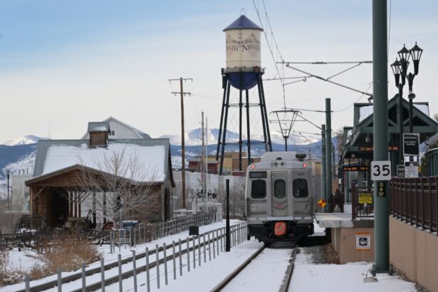 RTD Director JoyAnn Ruscha could face punishment from board chair