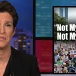 Rachel Maddow Totally Destroys Donald Trump