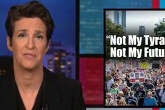 Rachel Maddow Totally Destroys Donald Trump