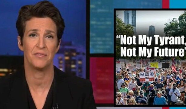 Rachel Maddow Totally Destroys Donald Trump
