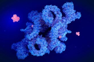 Rapamycin seems to boost longevity as effectively as eating less