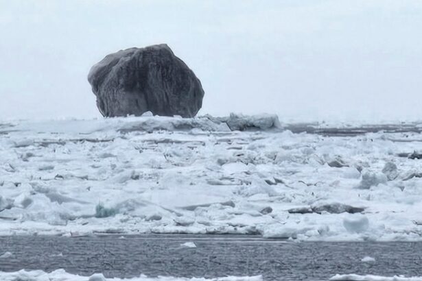 Rare Black Iceberg Goes Viral – So What Is Going on Here? : ScienceAlert