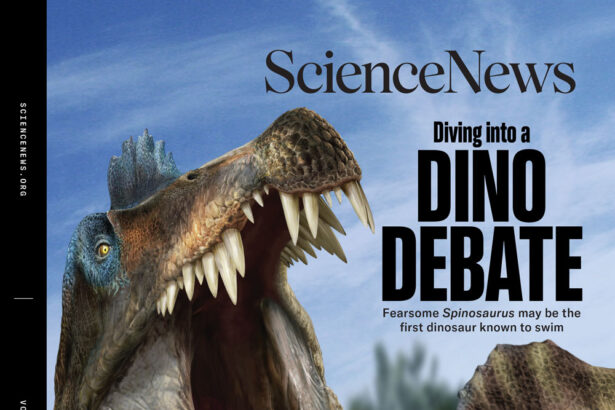 Readers react to ancient hunting tactics, dog obesity and narwhal play