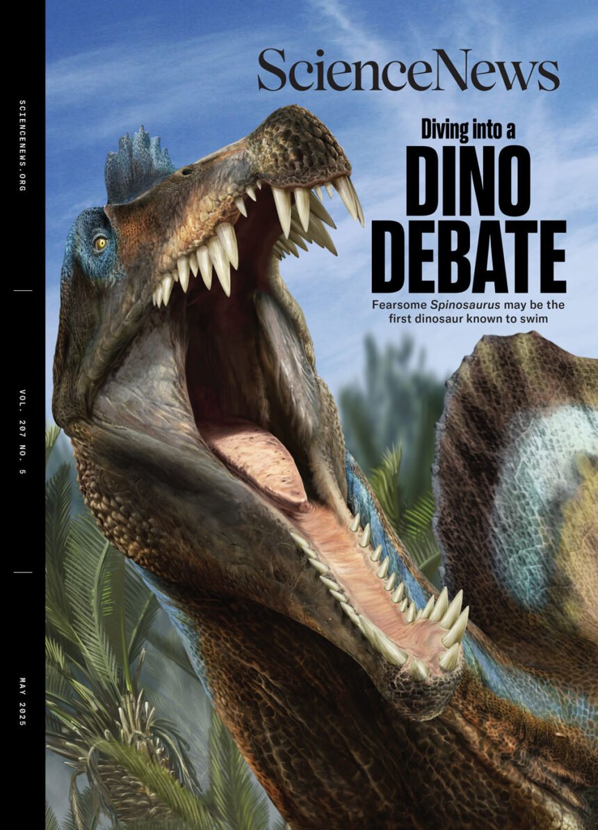 Readers react to ancient hunting tactics, dog obesity and narwhal play