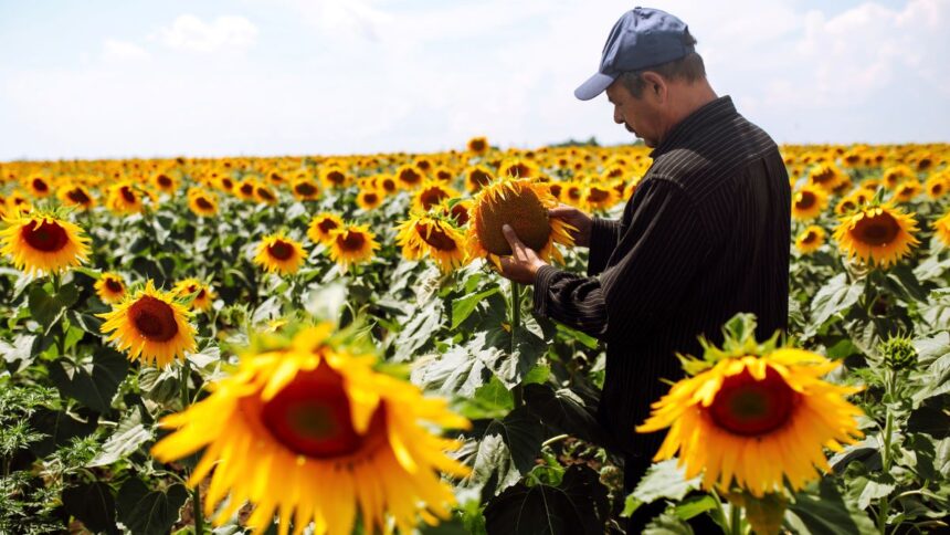Regenerative Farming Practices: Food for a Healthier Planet