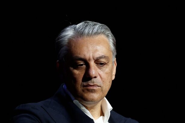 Renault boss De Meo quits, with expected switch to Gucci-owner Kering