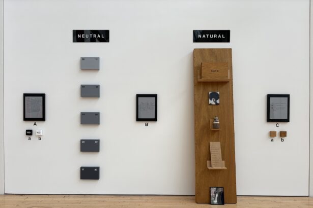 Renée Green Questions the Meaning of Meanings