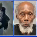 Repeat sexual predator groped 9-year-old girl at South Loop playground, prosecutors say