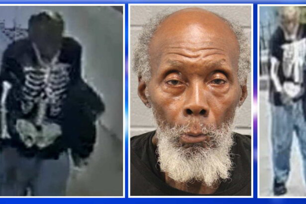 Repeat sexual predator groped 9-year-old girl at South Loop playground, prosecutors say