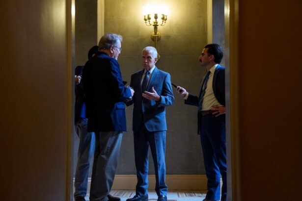 Republican Thom Tillis says he will not seek reelection next year : NPR