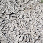 Reversing Moisture Loss: Let the Ground Keep Falling Rainwater