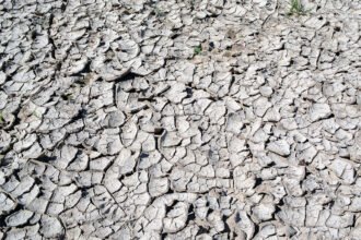 Reversing Moisture Loss: Let the Ground Keep Falling Rainwater