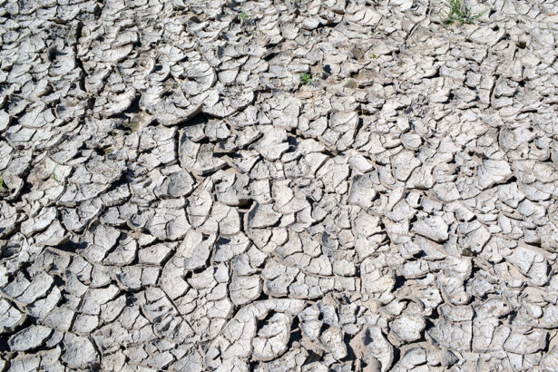 Reversing Moisture Loss: Let the Ground Keep Falling Rainwater