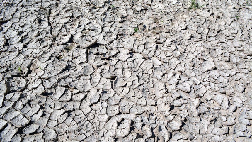 Reversing Moisture Loss: Let the Ground Keep Falling Rainwater