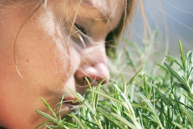 Rosemary Can Sharpen Your Mind, And Could Help Fight Alzheimer’s : ScienceAlert