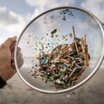 STAT+: Those living near the ocean face greater microplastic risk, study finds