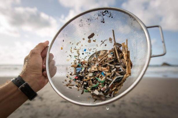 STAT+: Those living near the ocean face greater microplastic risk, study finds