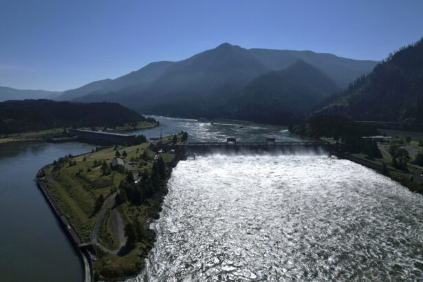 Salmon, tribal sovereignty, and energy collide as US abandons Resilient Columbia Basin Agreement
