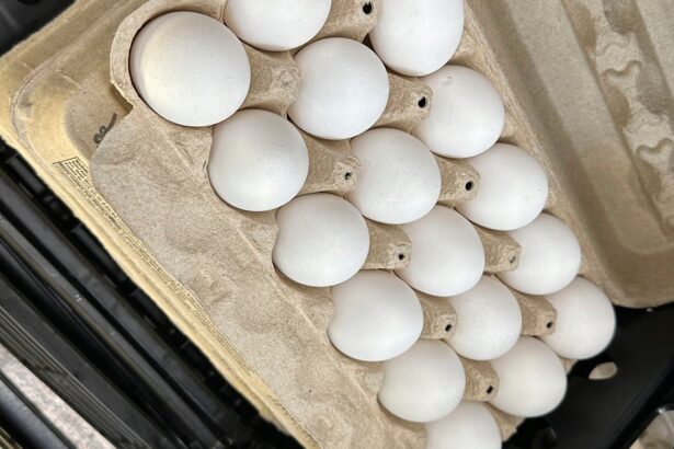 Salmonella Outbreak Tied To Eggs Sickens Dozens Across 7 States