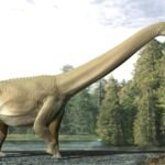 Sauropod dinosaur’s last meal reveals that it didn’t bother to chew